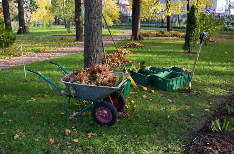 Lake Lot Clearing in Cumming, GA