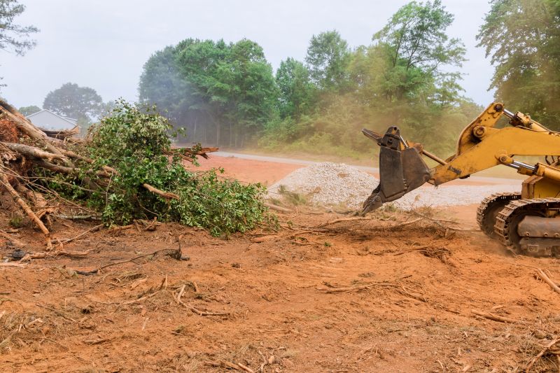 Heavy machinery in land clearing