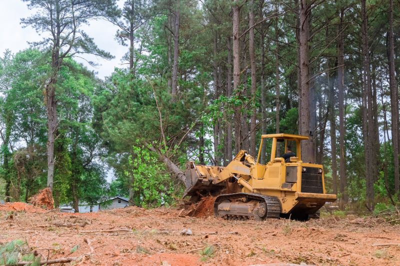 Land clearing machinery in action