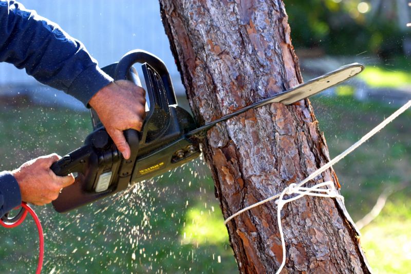 Tree removal process
