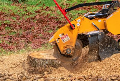Stump grinding operation